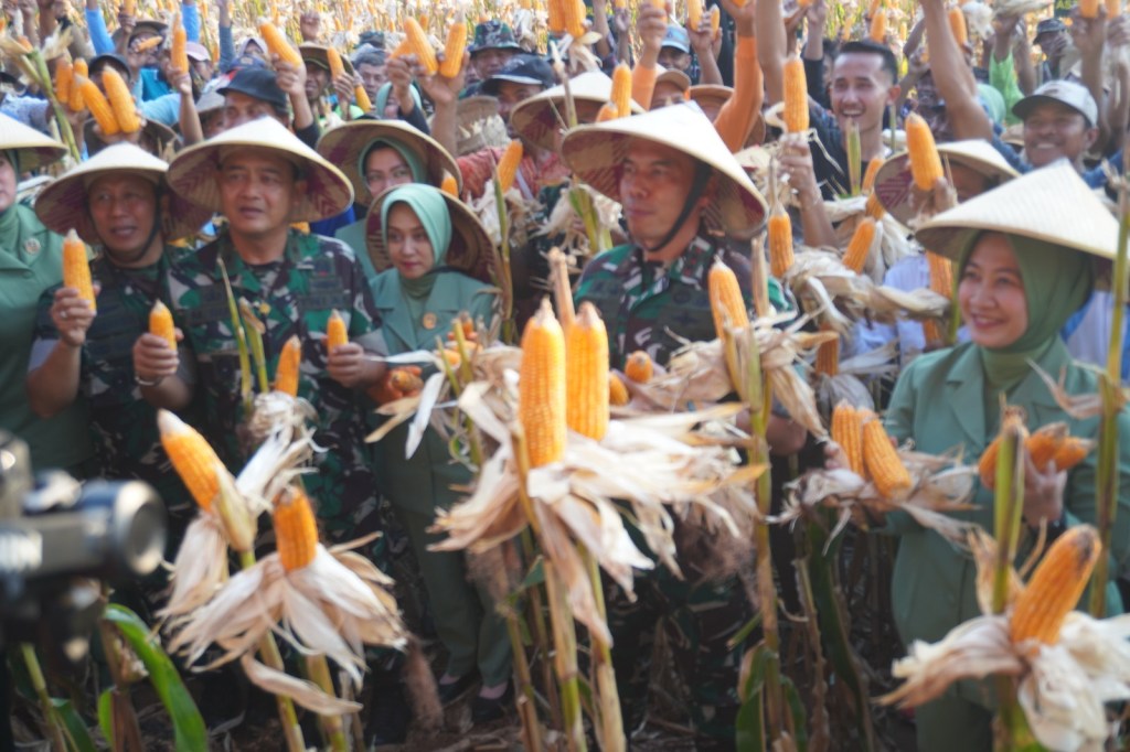 Wujudkan Ketahanan Pangan, Pangdam IV/Diponegoro Panen Ribuan Ton Jagung di Kendal