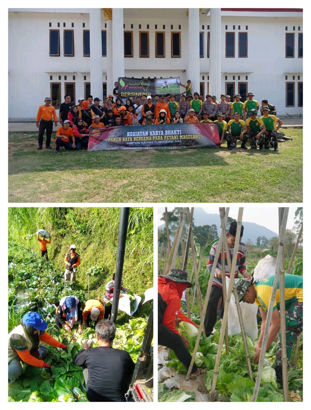 Harga Sayuran Anjlok, Relawan Bersama TNI – Polri Borong Sayuran Dan Bagikan ke&nbsp;Masyarakat