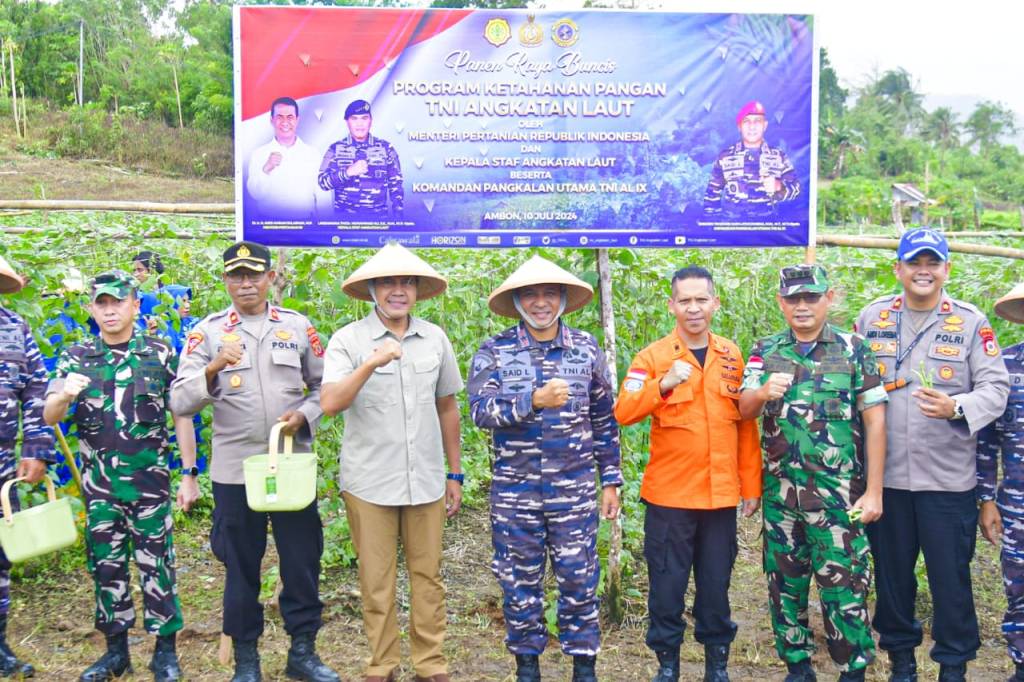Lantamal IX Ambon Panen Raya Dalam Program Ketahanan Pangan TNI Angkatan Laut